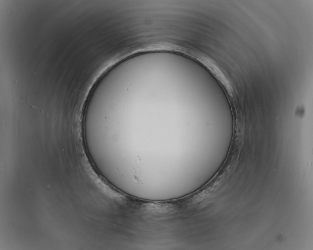 X0000093720805200711060936