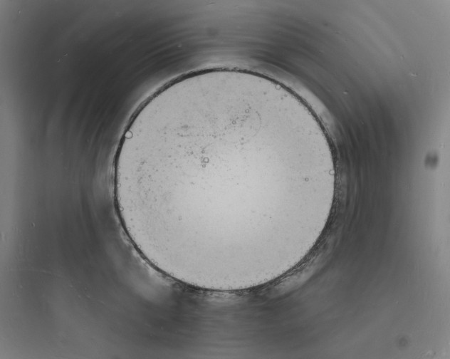 X0000093720807200711060936