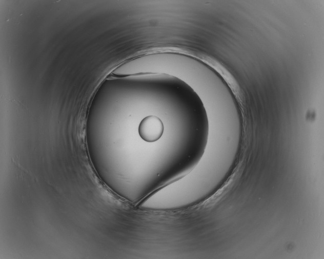 X0000093720809200711060936