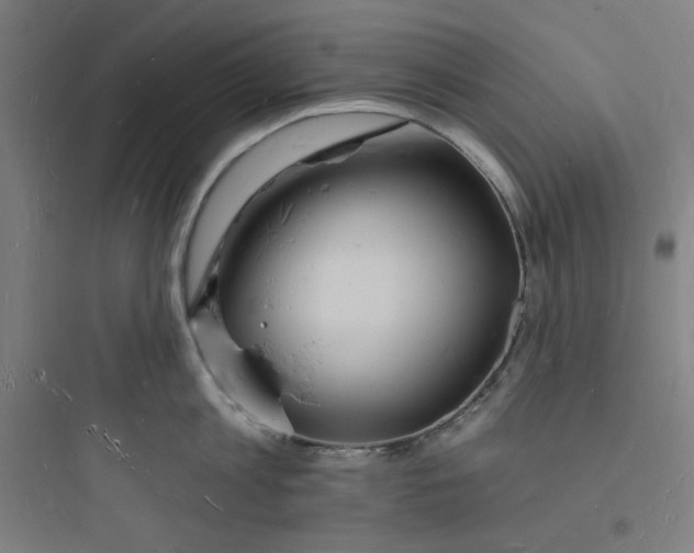 X0000093720813200711060936