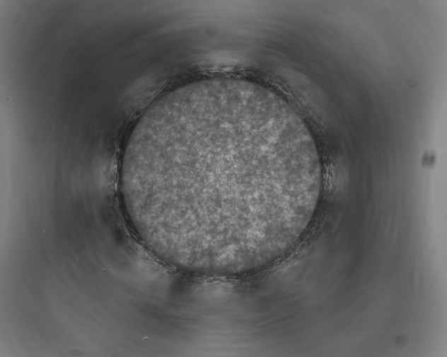 X0000093720820200711060935