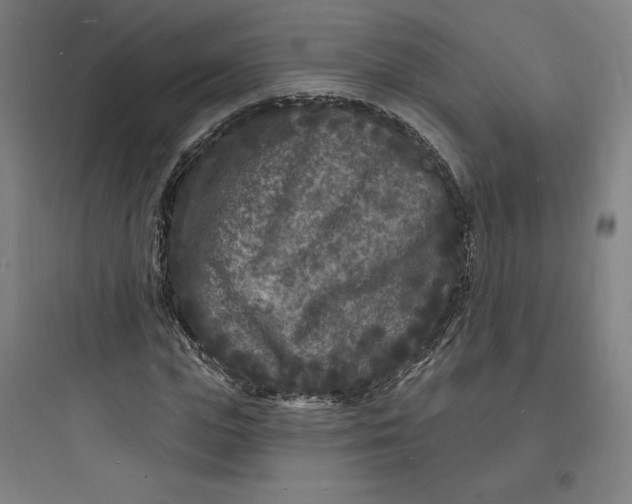 X0000093720823200711060935