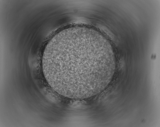 X0000093720824200711060935