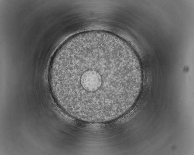 X0000093720828200711060935