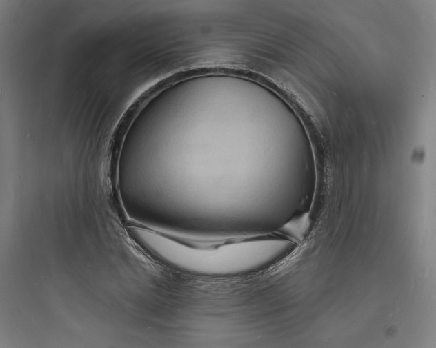 X0000093720830200711060935