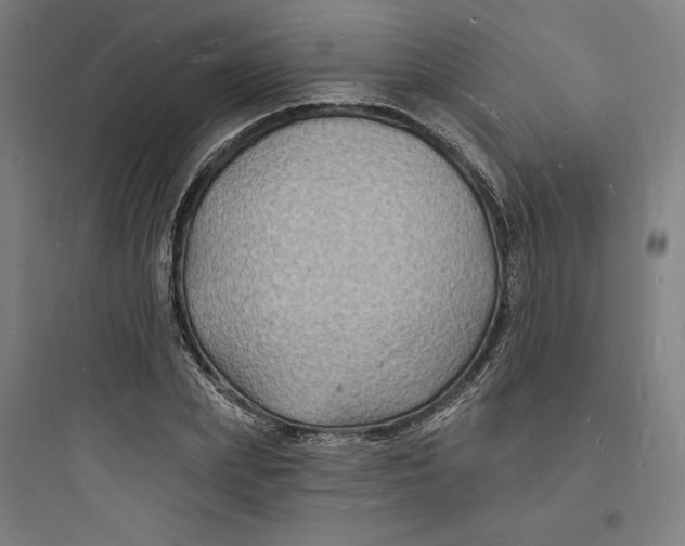 X0000093720831200711060935