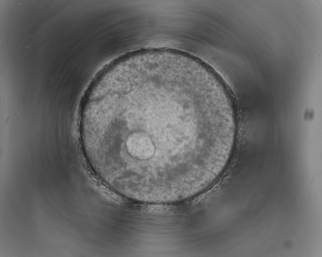 X0000093720832200711060935