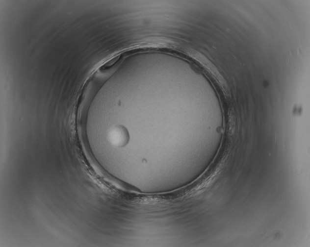 X0000093720834200711060936