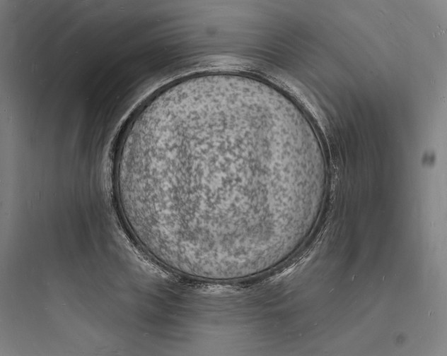 X0000093720835200711060936