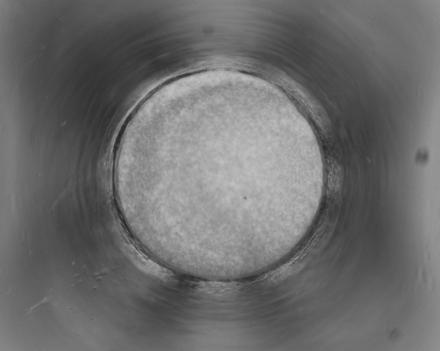 X0000093720836200711060936