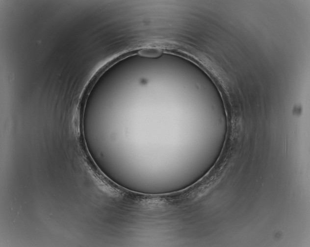 X0000093720838200711060936