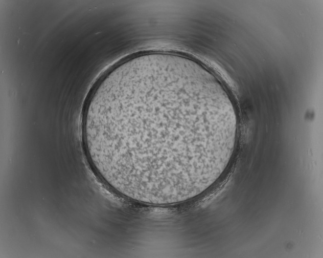 X0000093720839200711060936