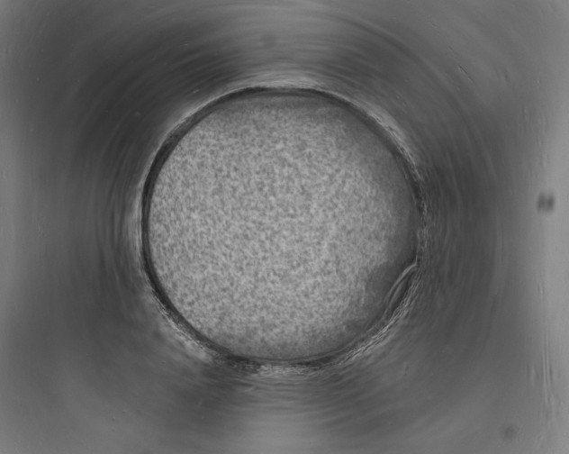 X0000093720840200711060936