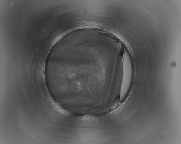 X0000093720842200711060936