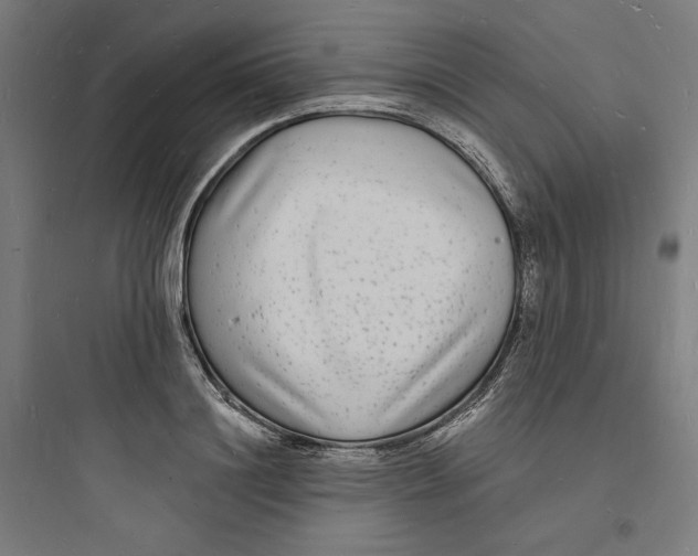 X0000093720844200711060936