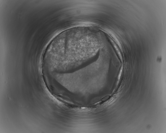 X0000093720851200711060936