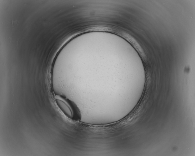 X0000093720852200711060936