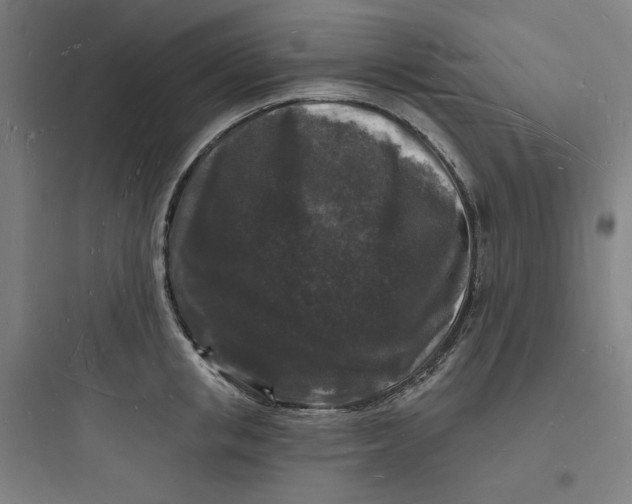 X0000093720853200711060936