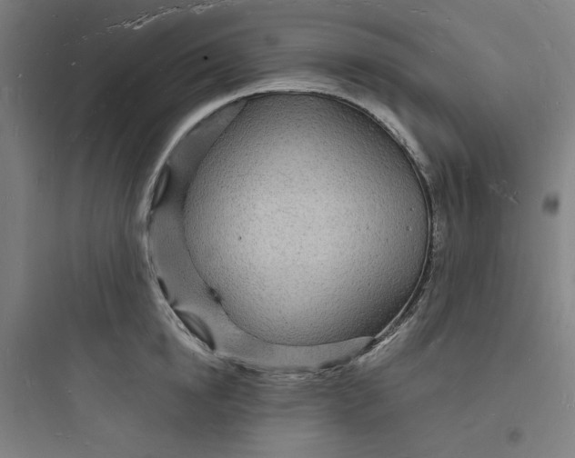 X0000093720854200711060936