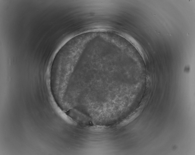 X0000093720859200711060936