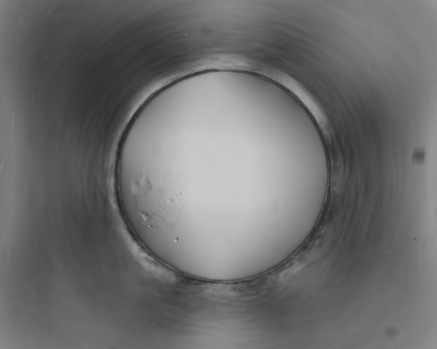 X0000093720861200711060936