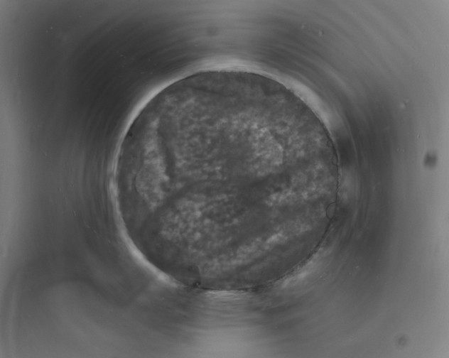 X0000093720863200711060936