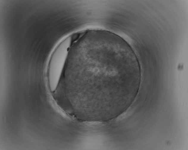 X0000093720864200711060936