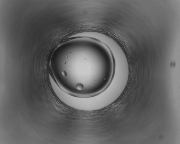 X0000093720868200711060935