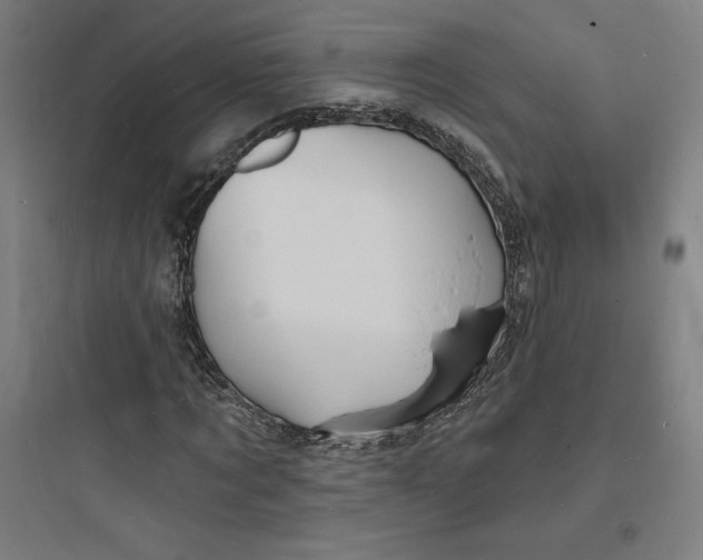 X0000093720869200711060935