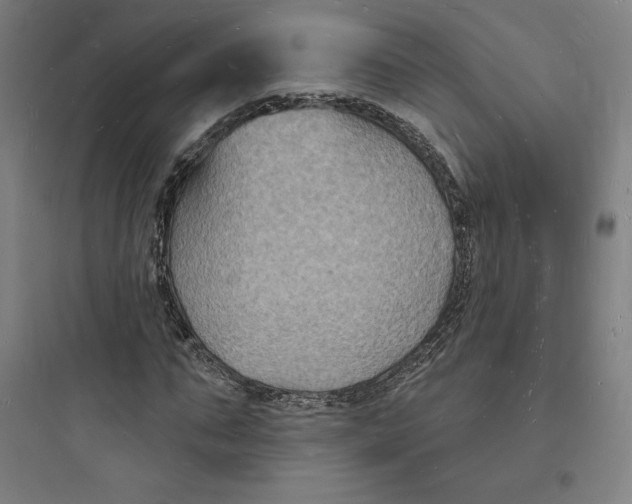 X0000093720871200711060935