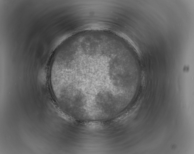 X0000093720874200711060935