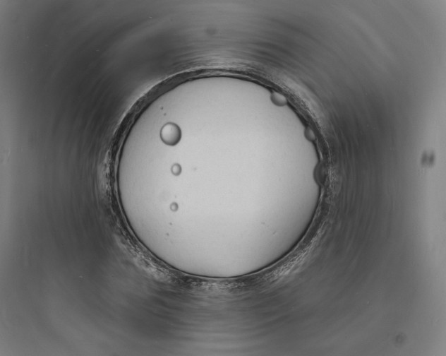 X0000093720875200711060935