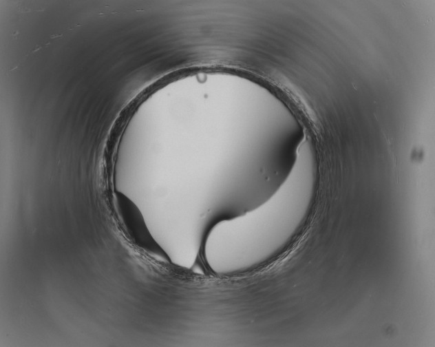 X0000093720876200711060935