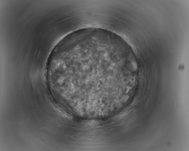 X0000093720879200711060935