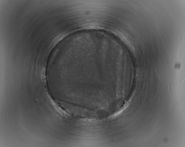 X0000093720881200711060935