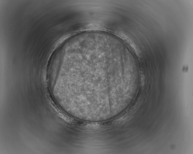 X0000093720882200711060935