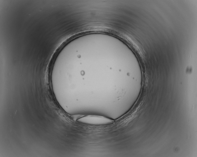 X0000093720883200711060935