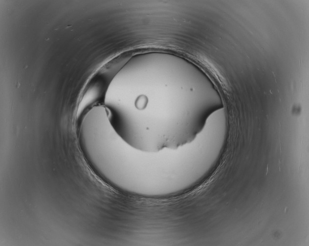 X0000093720884200711060935