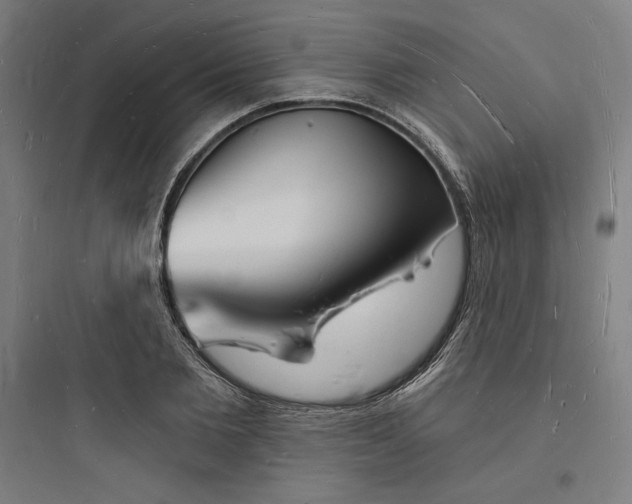 X0000093720885200711060935