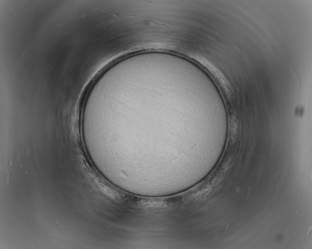 X0000093720886200711060935