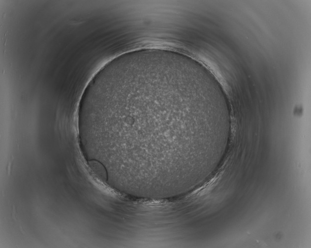 X0000093720891200711060935