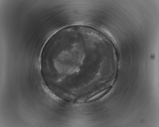 X0000093720892200711060935