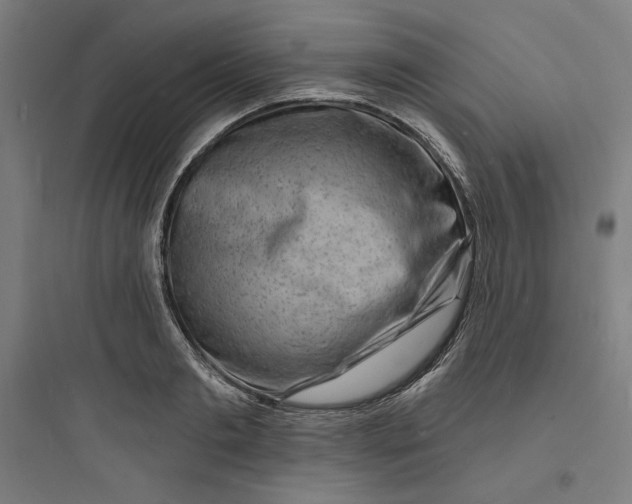 X0000093720893200711060935