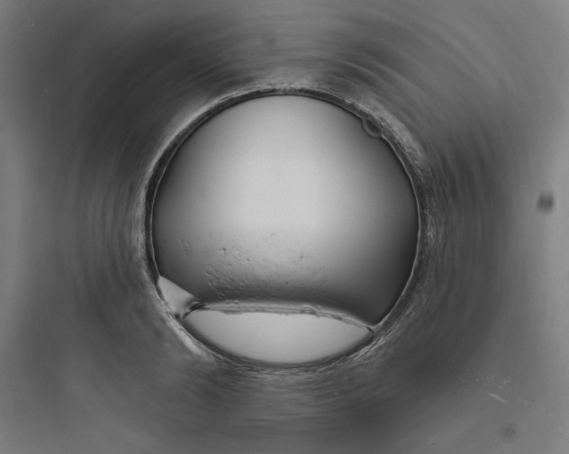 X0000093720894200711060935