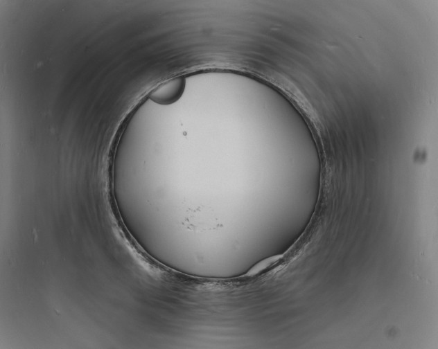 X0000093720898200711060935