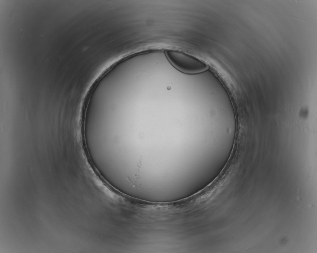 X0000093720902200711060935