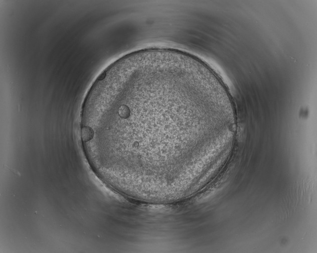 X0000093720903200711060935