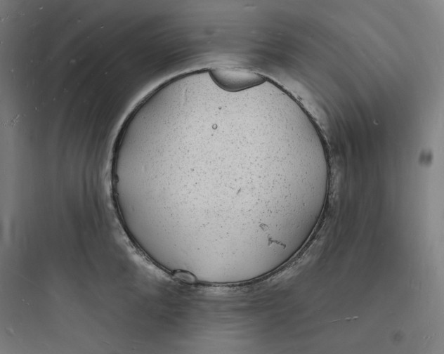 X0000093720904200711060935