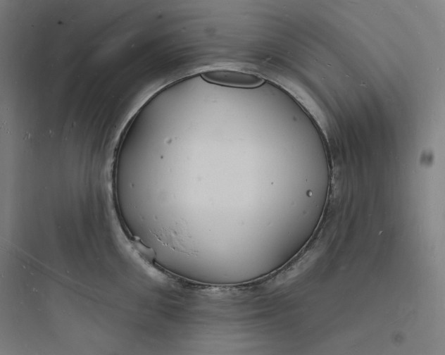 X0000093720906200711060935