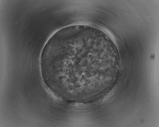 X0000093720907200711060935